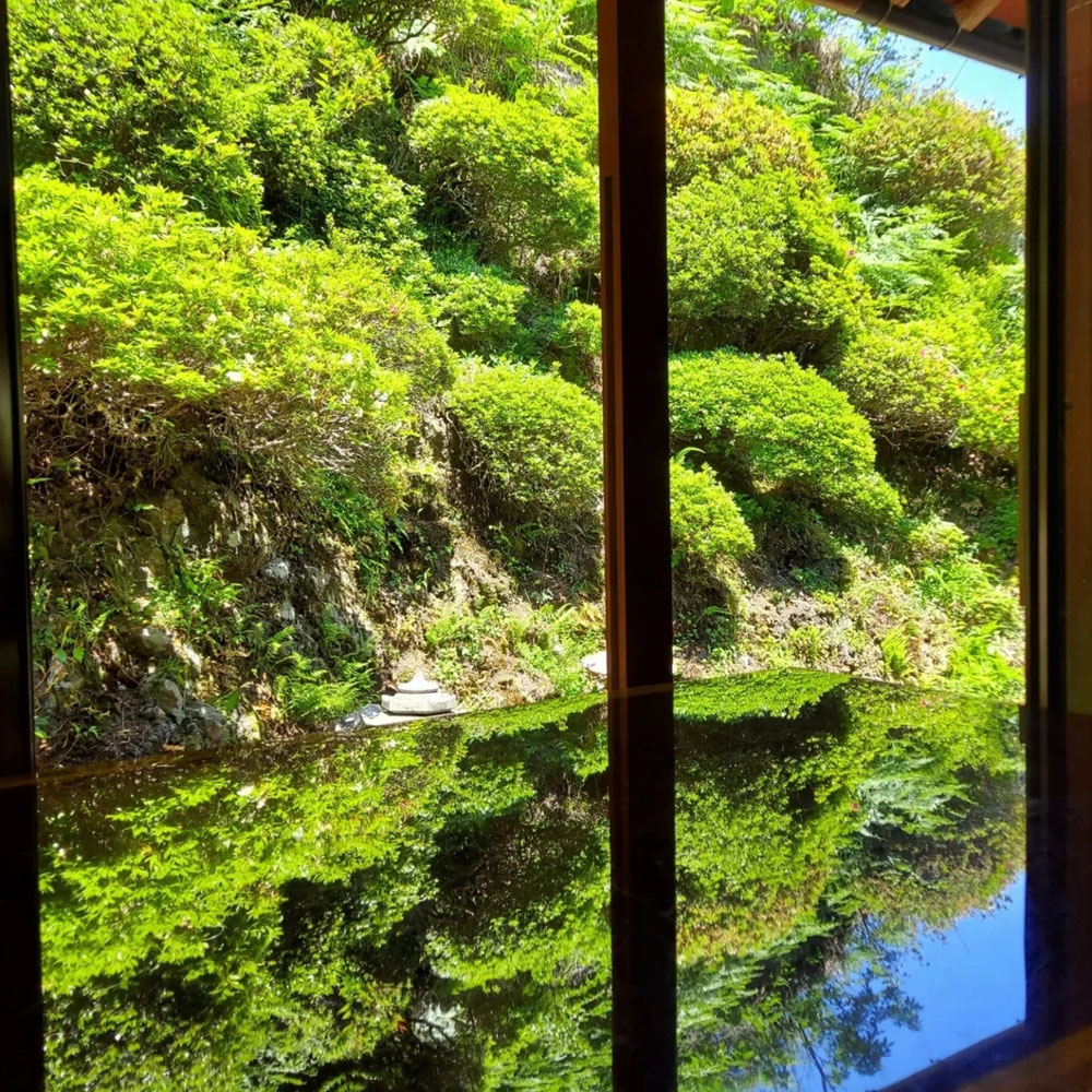 新緑のリフレクション