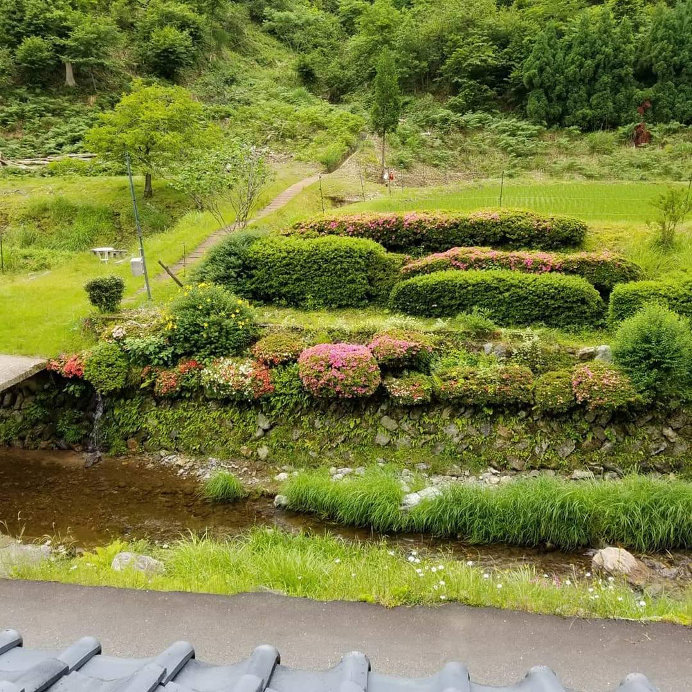 二階からの眺め