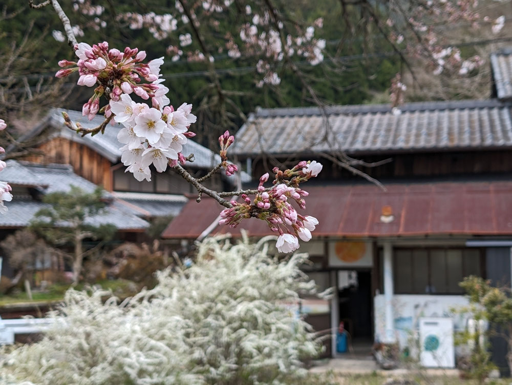 春は岩端を流れる川沿いの桜並木が華やぐ美しい季節です。夏は蛍が幻想的な夜を。秋は紅葉、冬は雪景色にと四季折々の美しい日本の里山に月の宝箱はあります。