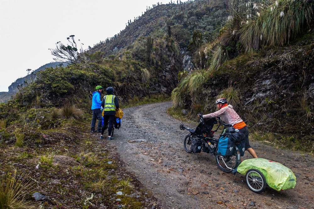 Parc de los nevados colombie