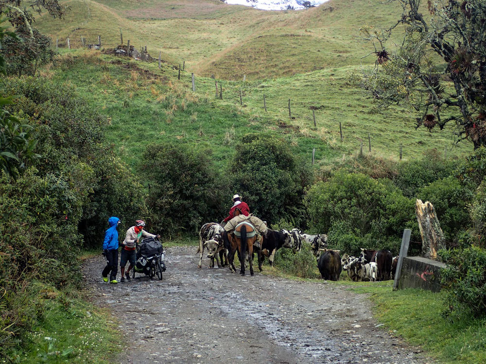 Parc de los nevados colombie