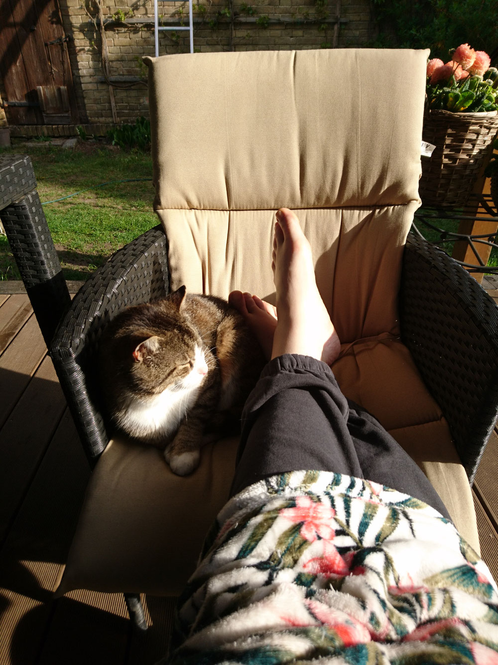 Livebild, 08:05. Leider muss ich jetzt rein an den Schreibtisch...