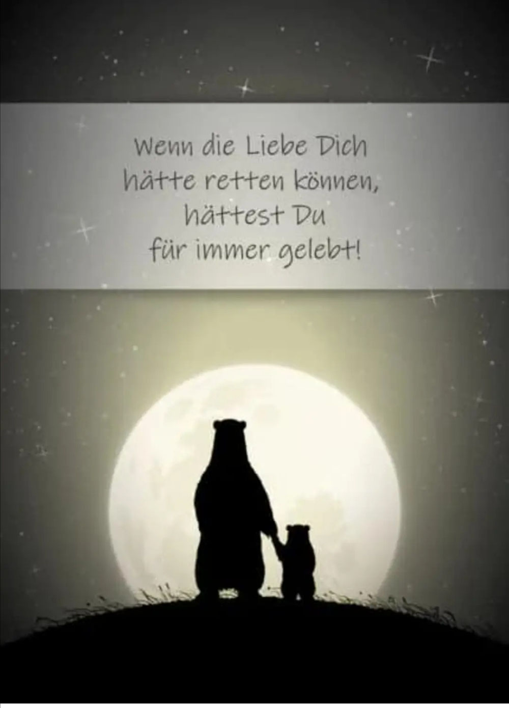 8 Jahre ohne Dich unsersternlasses Webseite!