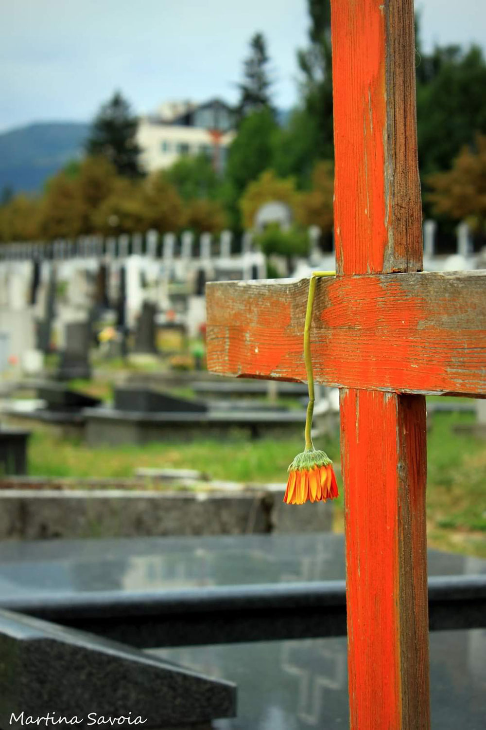 Cimitero ortodosso a Sarajevo