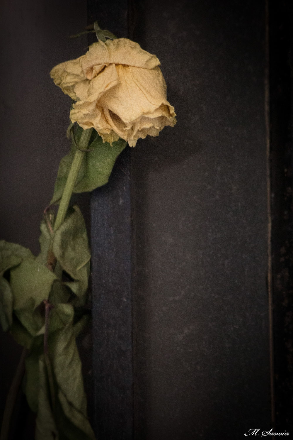 Cimitero Monumentale di Milano 