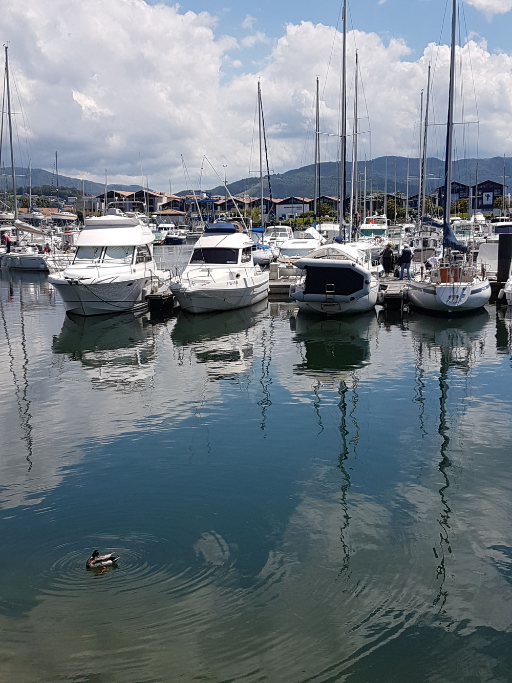 Traversee Hendaye Fontarrabie Therese Dupin