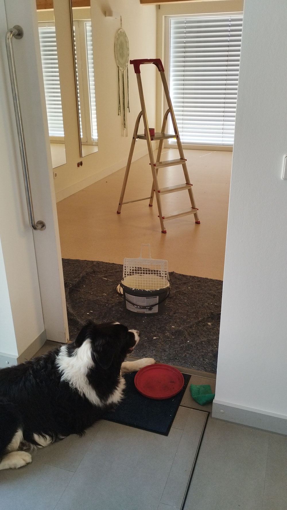 Renovierung unter Aufsicht 😉