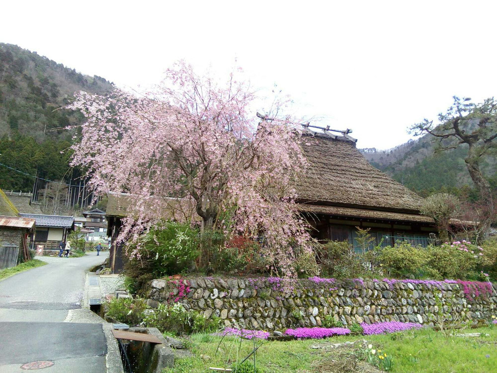 春の山里(spring mountain river)