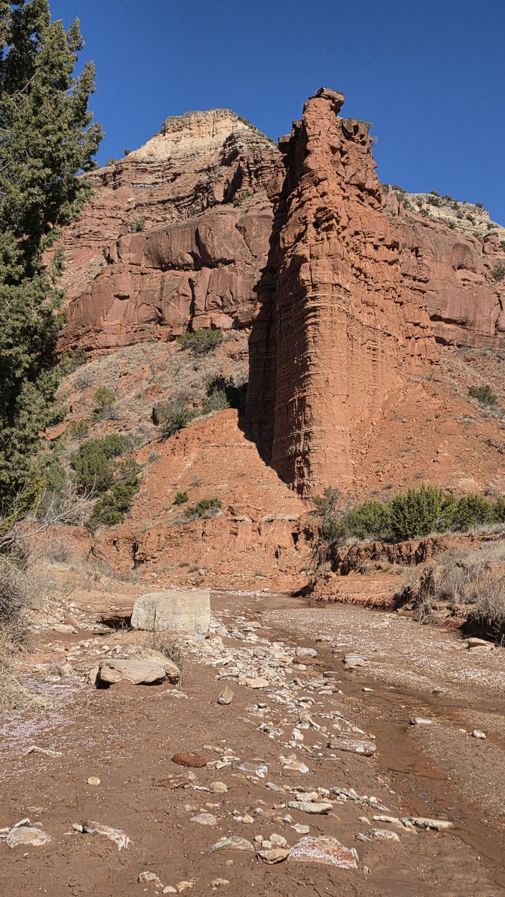 Auf meiner Wanderung durch den Caprock Canyon.