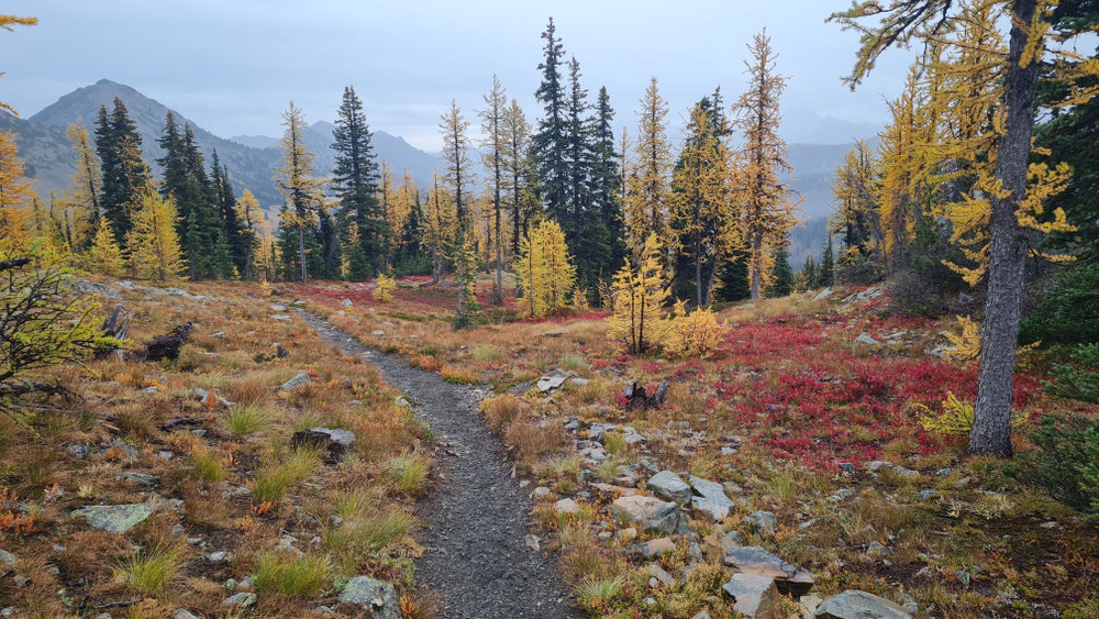 Wandern in den Cascades in den Herbstfarben