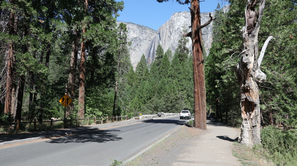 Im turistischen Yosemite Valley mit den steilaufragenden Granitfelsen...