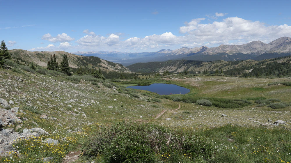 Letzte Meter vor dem Cottonwood Pass