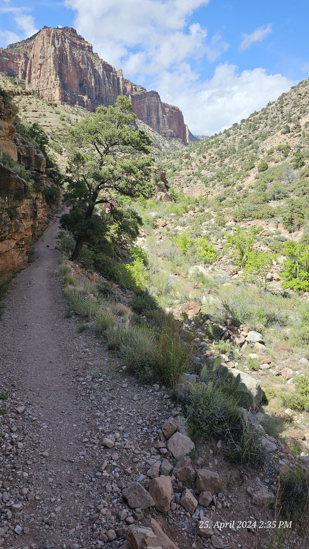 Der untere Teil des Schlussaufstiegs des North Kaibab Trails.