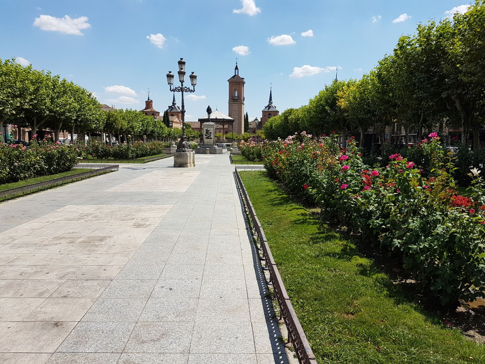 Plaza de Cervantes with the statue of the writer.