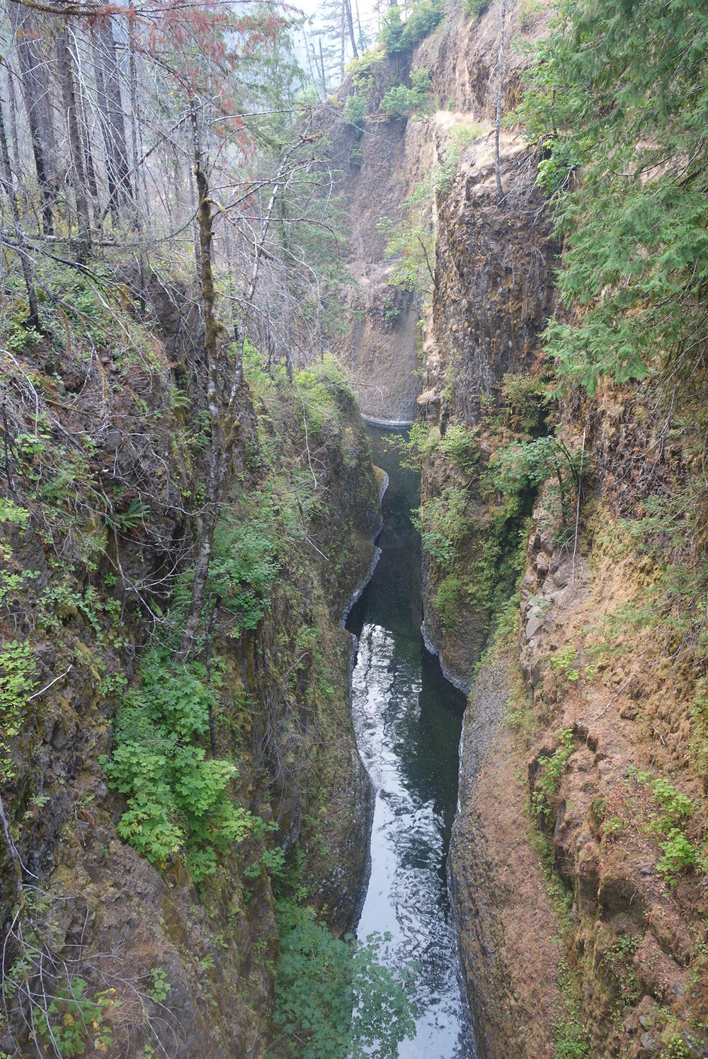 Eine lange Schlucht mit mehreren Wasserfälle die im Columbia Fluss endet