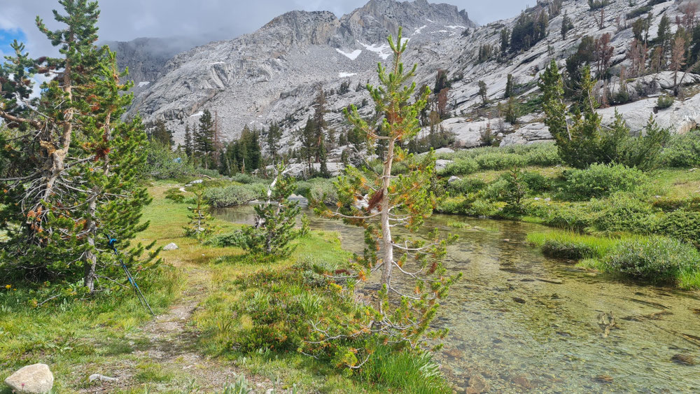 Schönes Hochtal in der Nähe der Baumgrenze