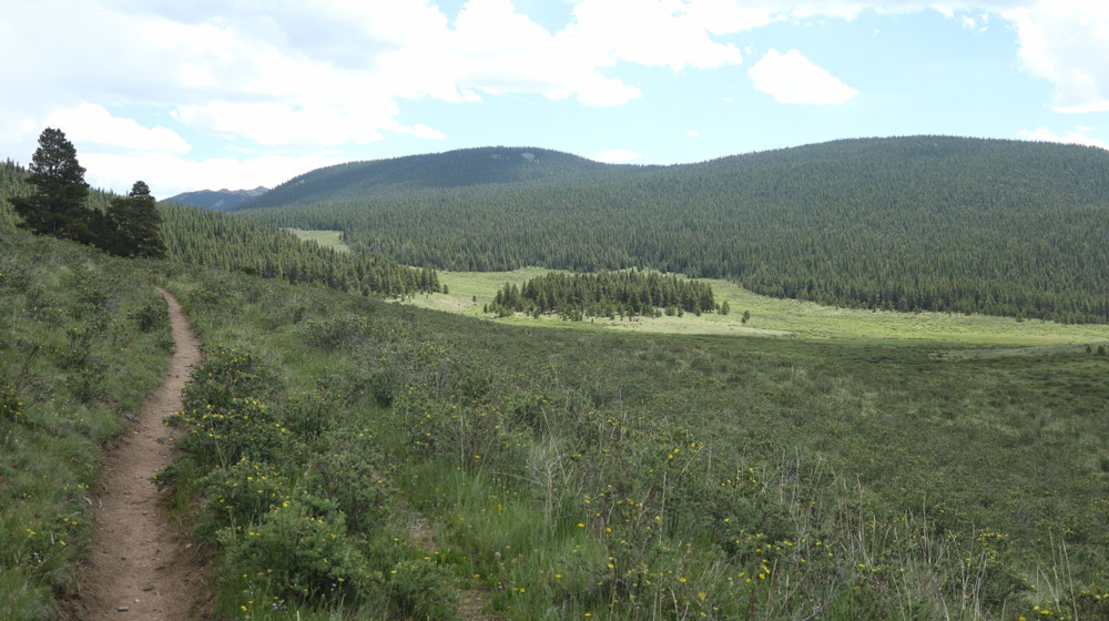 Durch die "Lost Creek Wilderness".