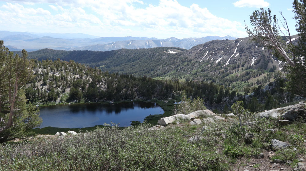 Ein kleiner See 3 Meilen vor Sonora Pass.