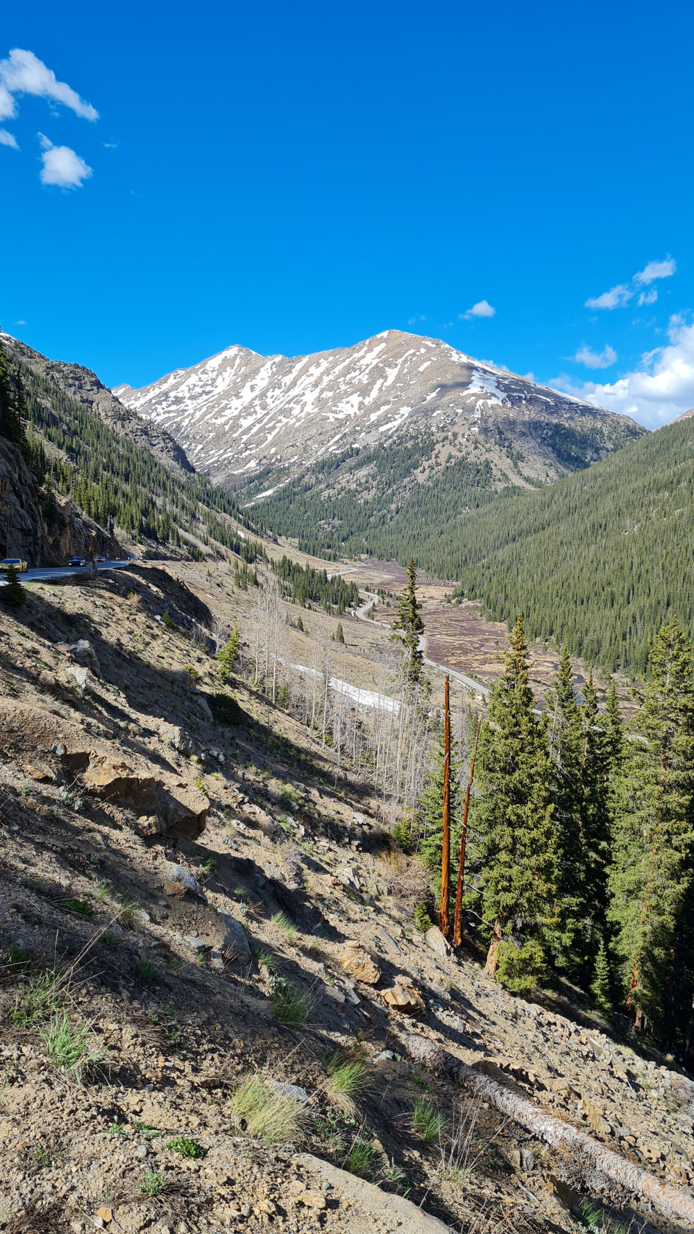 Bergabfahrt vom Independence Pass