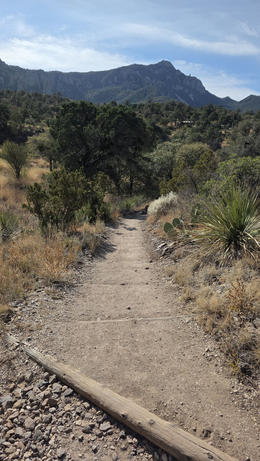 Zu Beginn meiner Wanderung auf dem Emory Peak (7825ft), im Hintergrund.