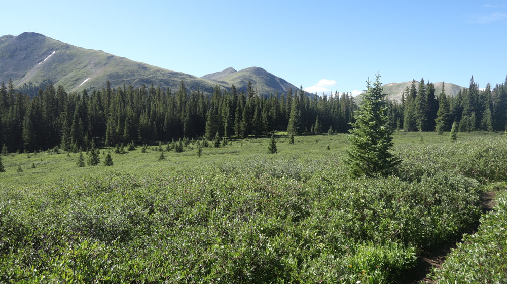 Am Morgen Richtung Cottonwood pass