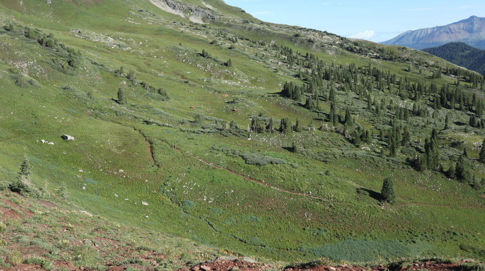 Vom ersten Pass des Tages Blick zurück auf den trail...