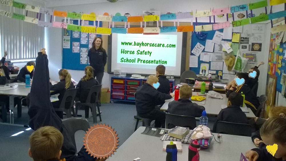 horse safety school presentations horse riding coach adelaide