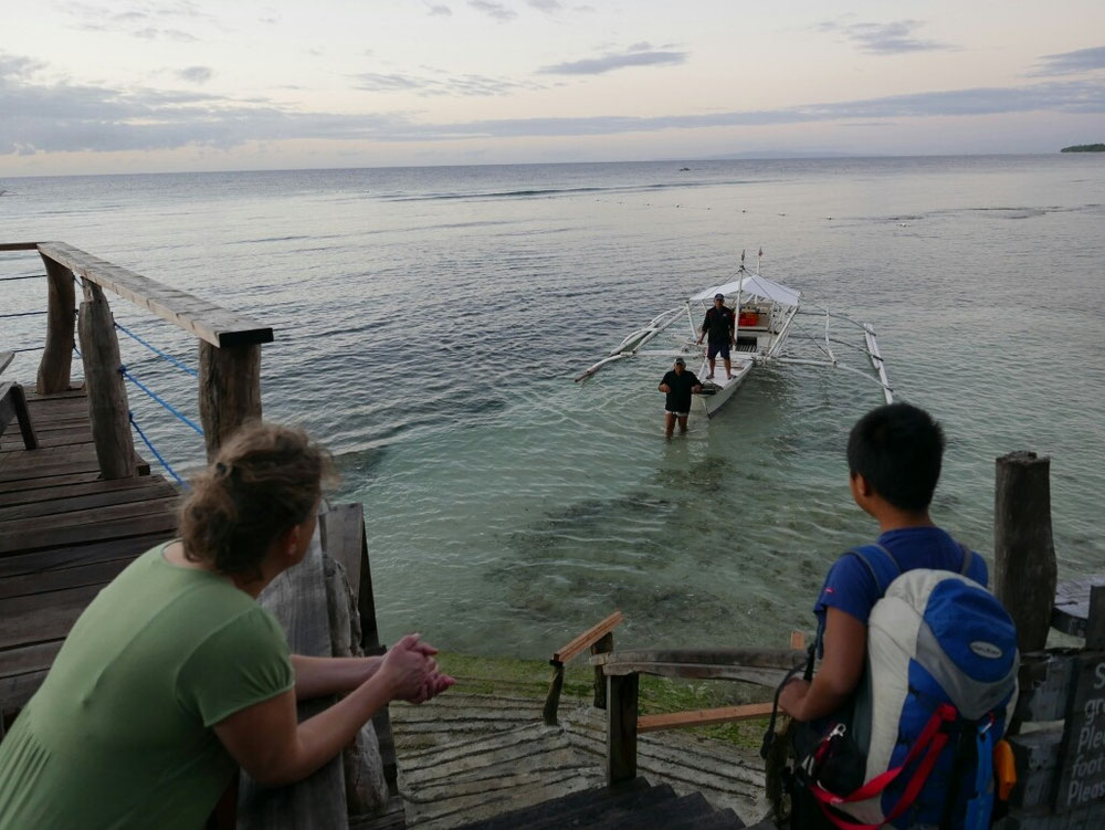 Im Frühtau zu Wasser  "Dolphinwatching" steht gross auf dem Programm angeschrieben...