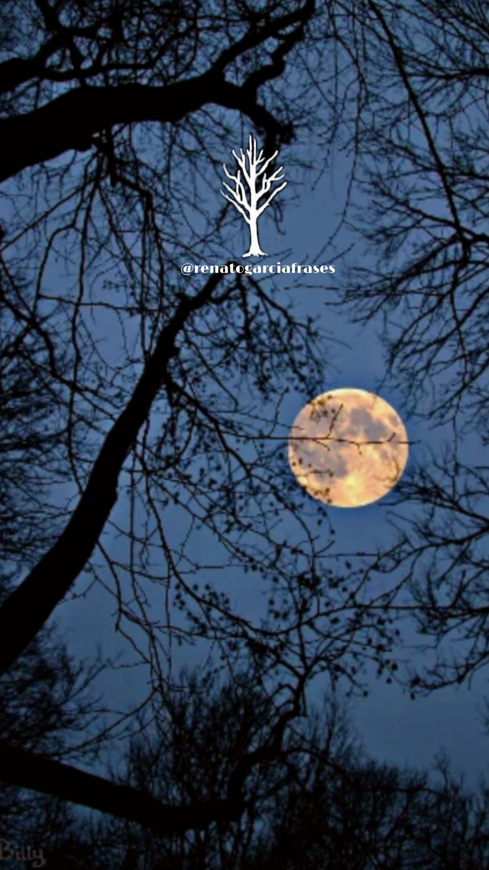 Wallpaper Cdl 
