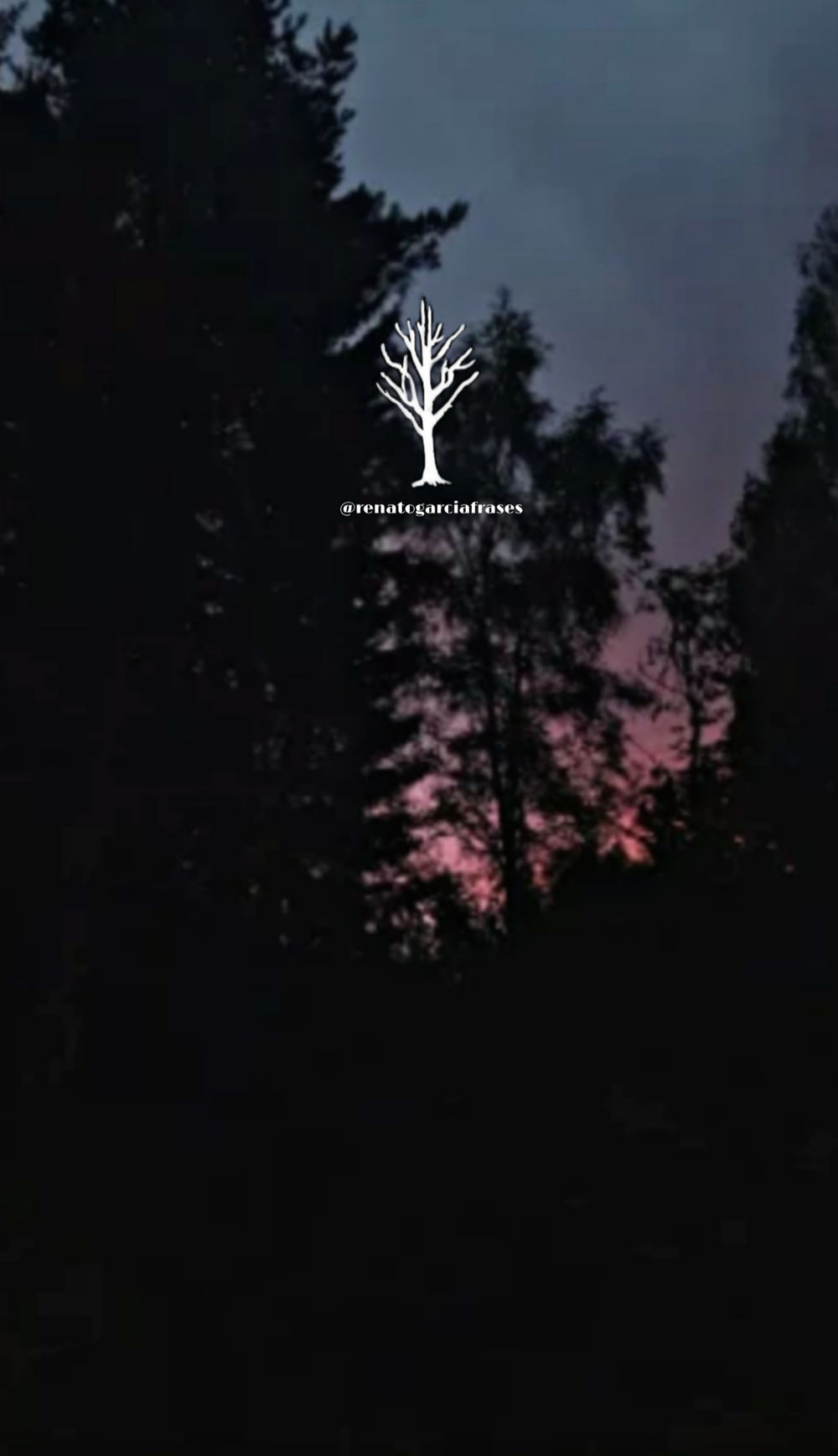 Wallpaper Cdl 