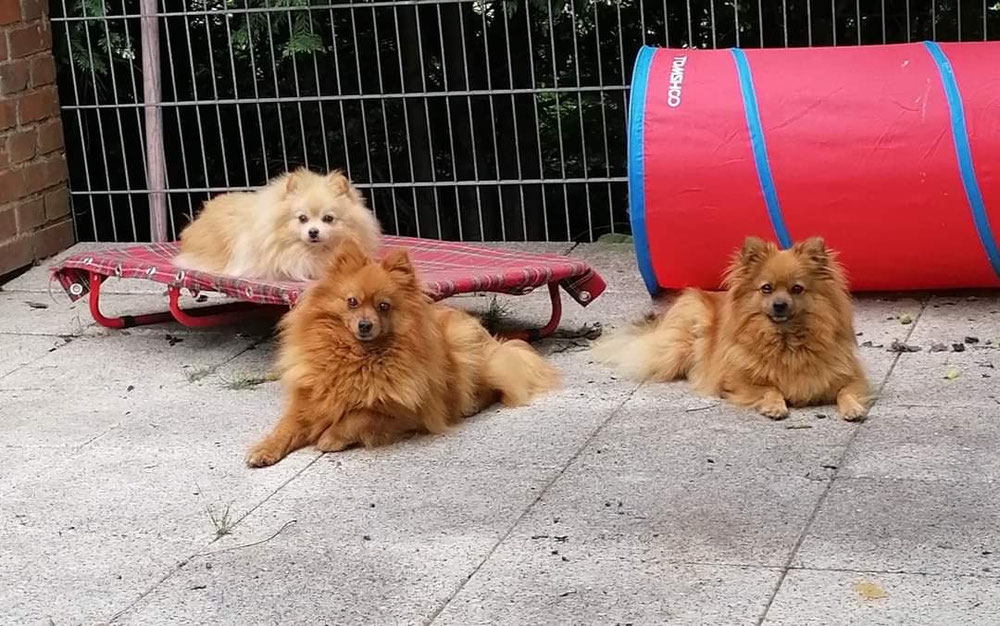 Auf der Terrasse 