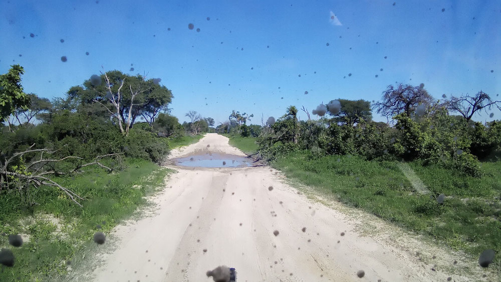 Windschutzscheibe voller Schlammspritzer.... , alle 300 m sind kleine und größere Wasserpfützen auf dem Weg , man weiß nie ob diese Schlaglöcher tief oder noch tiefer sind. Oftmals sind diese von den Fahrzeugen am Wegrand umfahren. 
