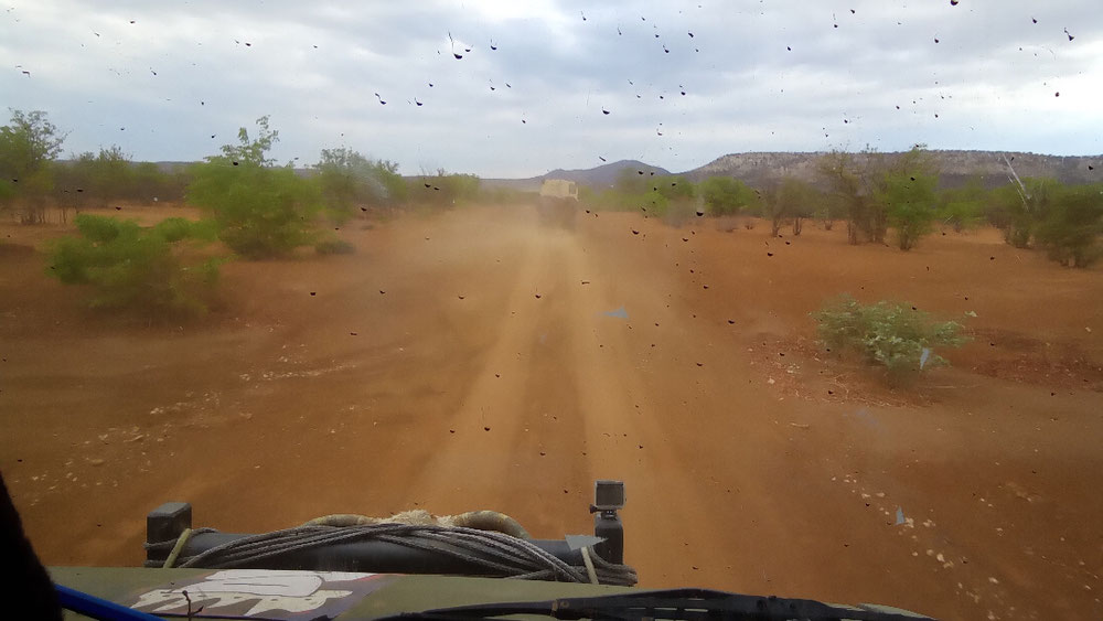Unsere Wege sahen Stundenlang gleich aus , Namibia hat unendliche Weite. Bei Staub der vom vorderen Fahrzeug aufgewirbelt wird  , setzen wir unsere Masken auf