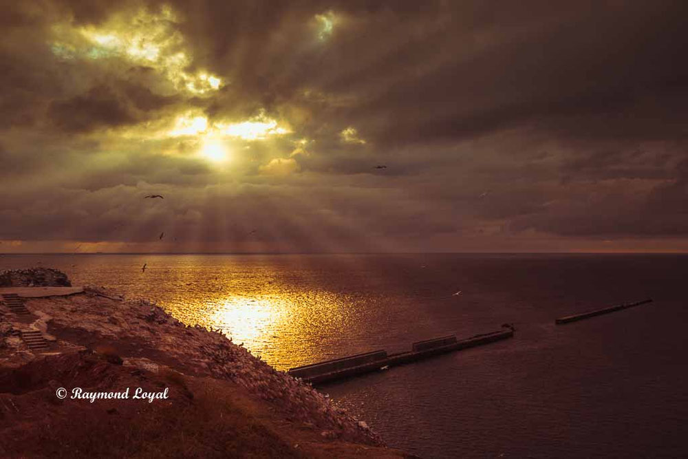 helgoland natur foto