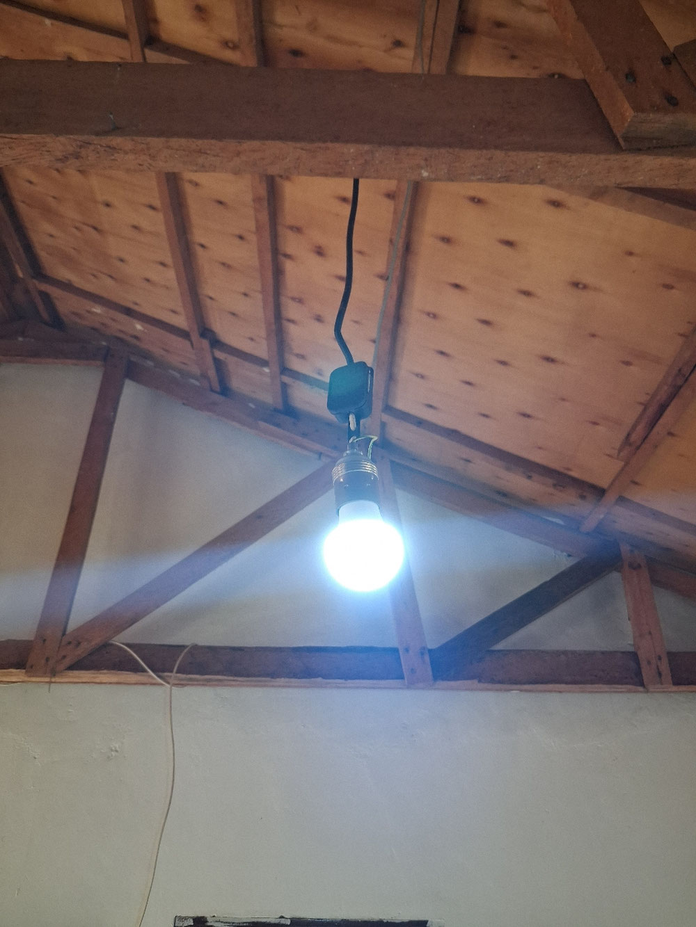 Endlich ist uns ein Licht aufgegangen