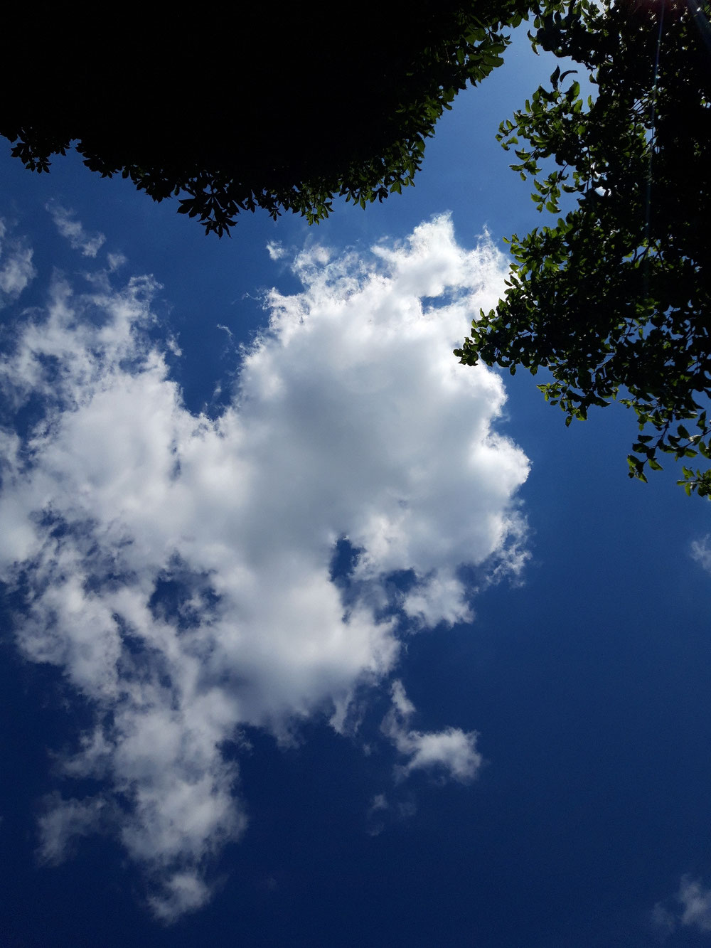 Taking a break and watching the clouds