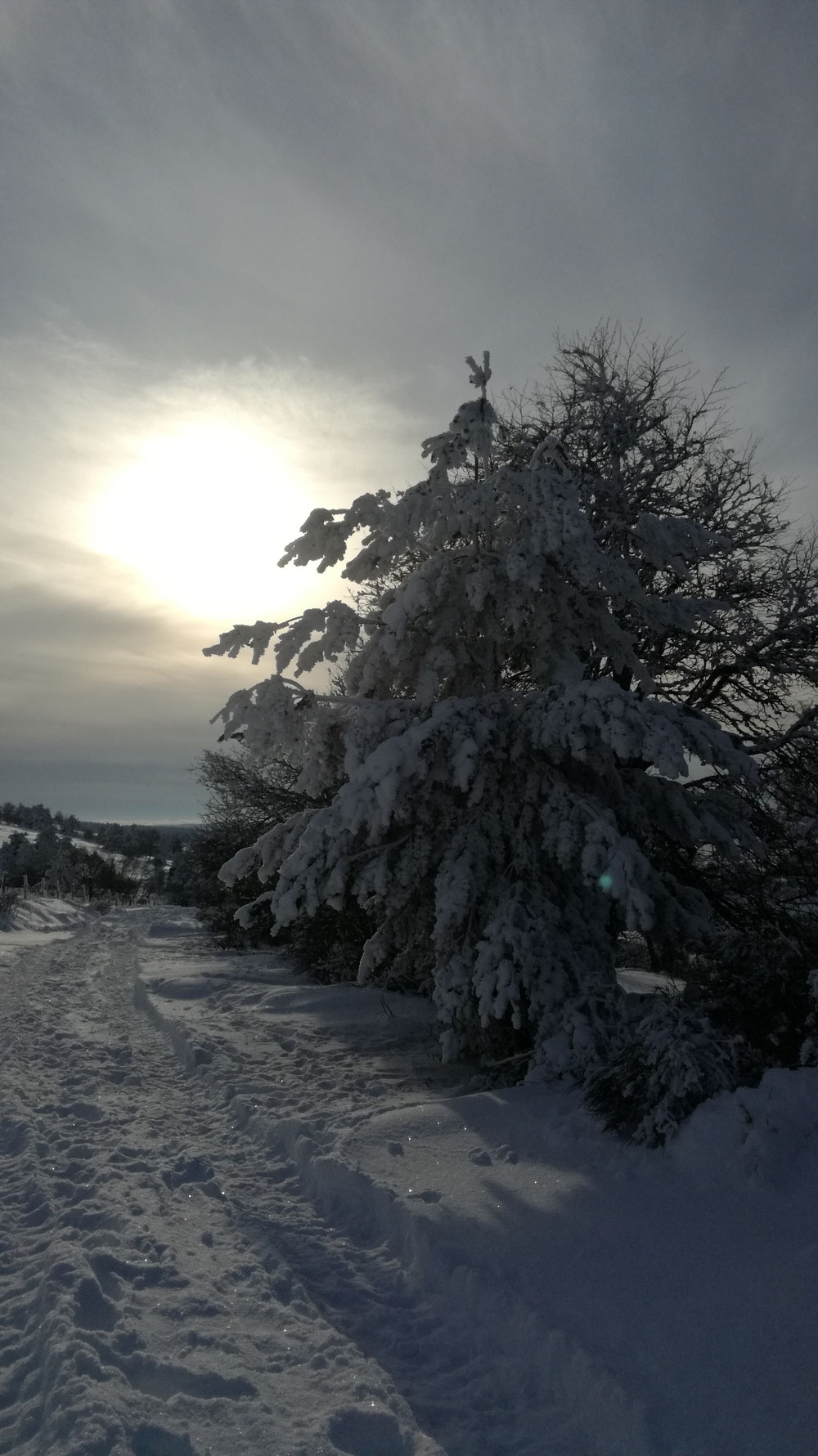 L'hiver est bien là !!! Réveil glacé à Montcodiol 🤣