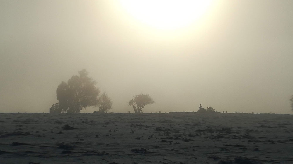 Levé de soleil avec mes loulous, le paradis sur terre !! 🥰 (25/01/23)
