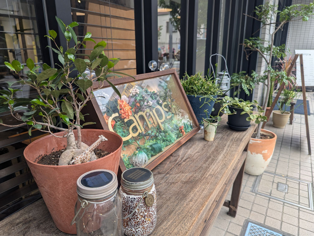 店内外にある観葉植物はお客様からも人気です✨
