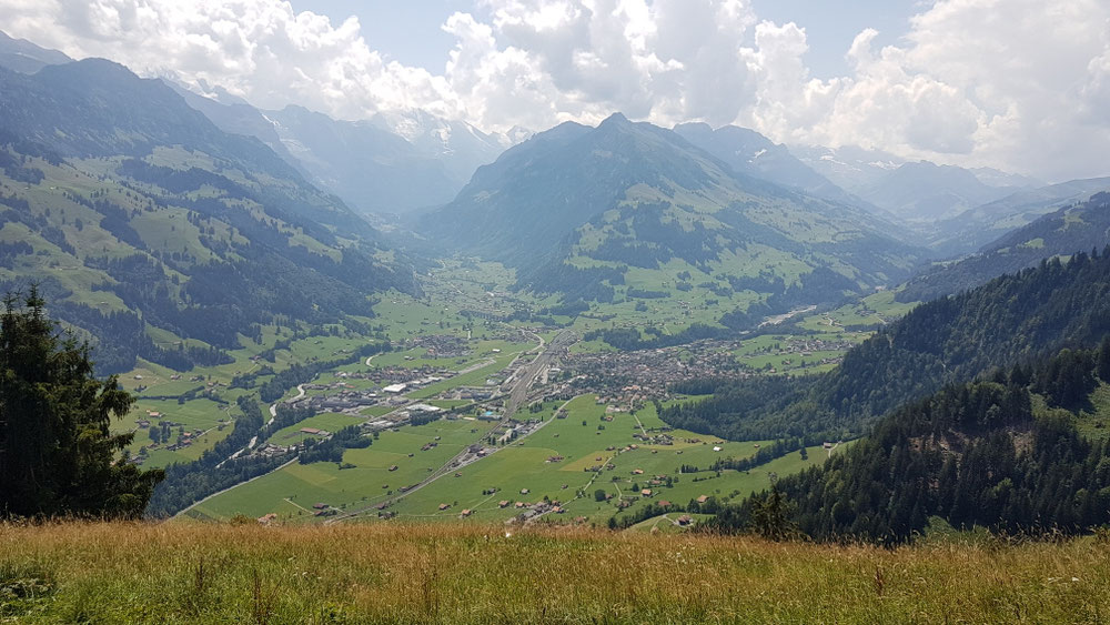 Blick zurück auf das Land meiner Ahnen