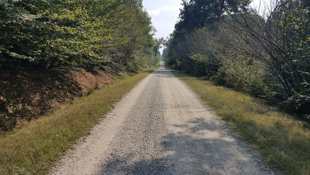 5 km geradeaus im Park, geil!