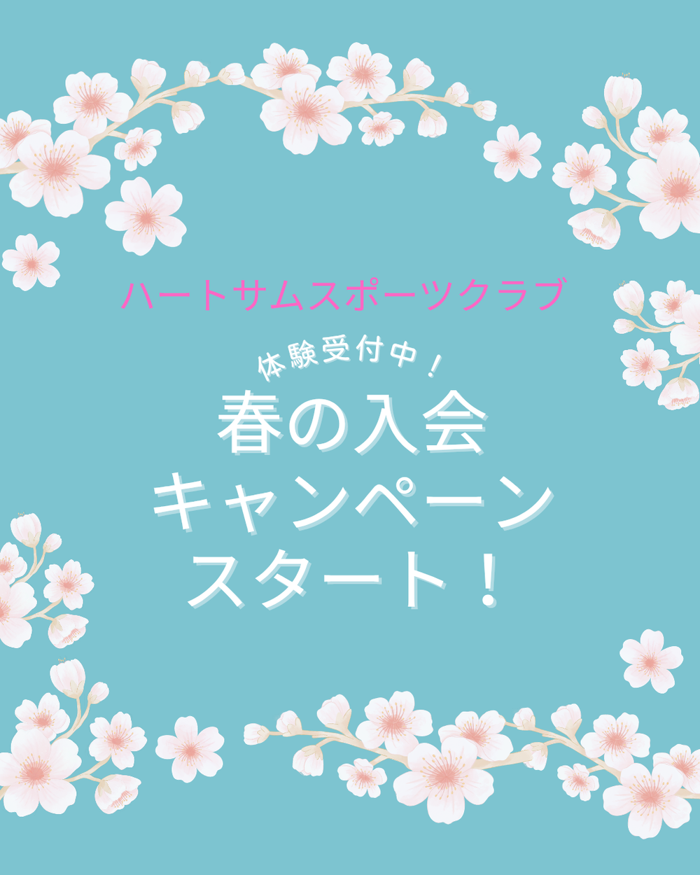 体験レッスンのお申し込みは、公式LINEより✨