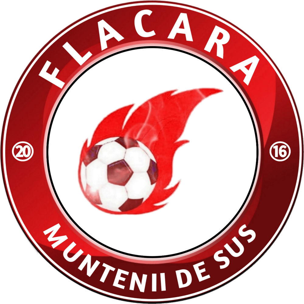 Liga 4 Vaslui Fcflacaramunteniidesus