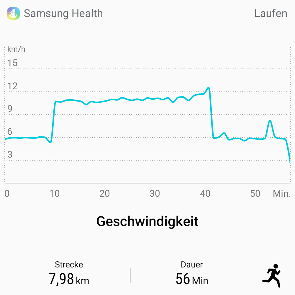 5000m in 30min und der Fuss hält Einlagen und 2Paar Socken mit Nike Pegasus 