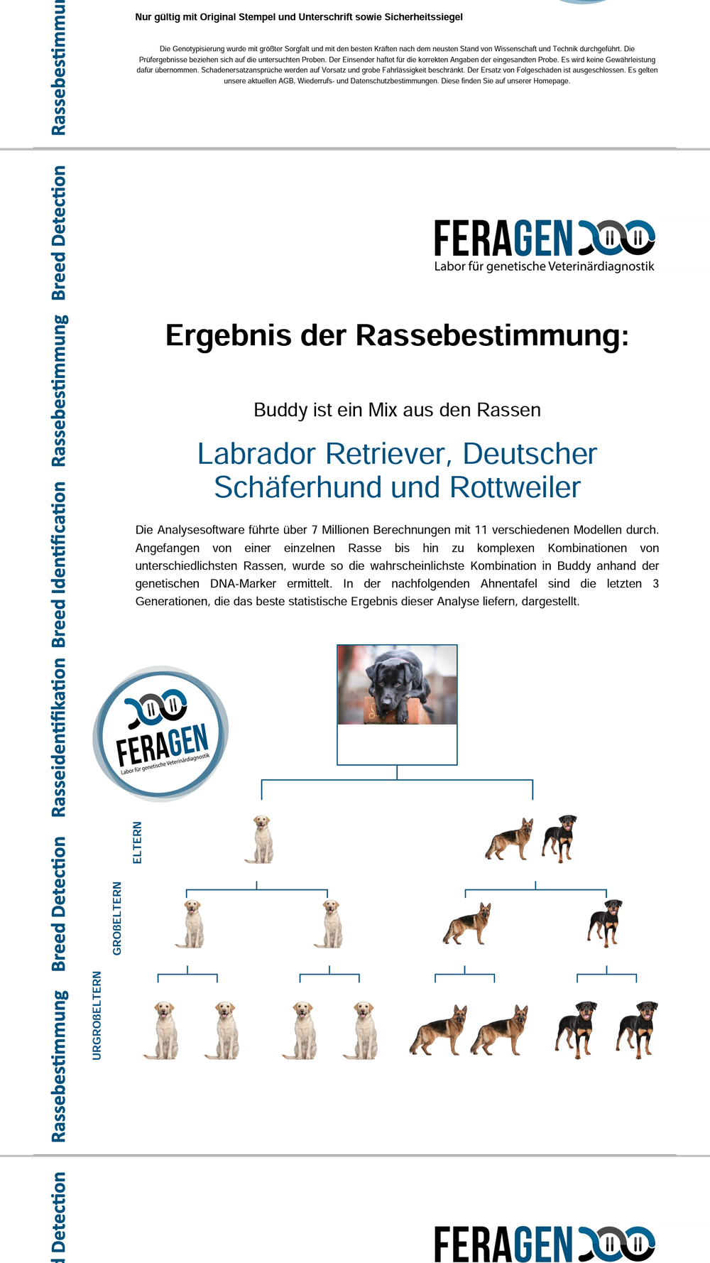 Feragen Dna Test Hund Erfahrungen Feragen Dna Test Beim Hund