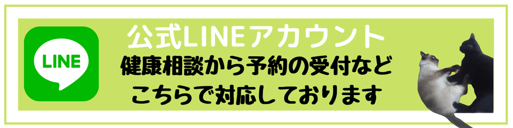 公式LINEアカウント登録ページへ移動