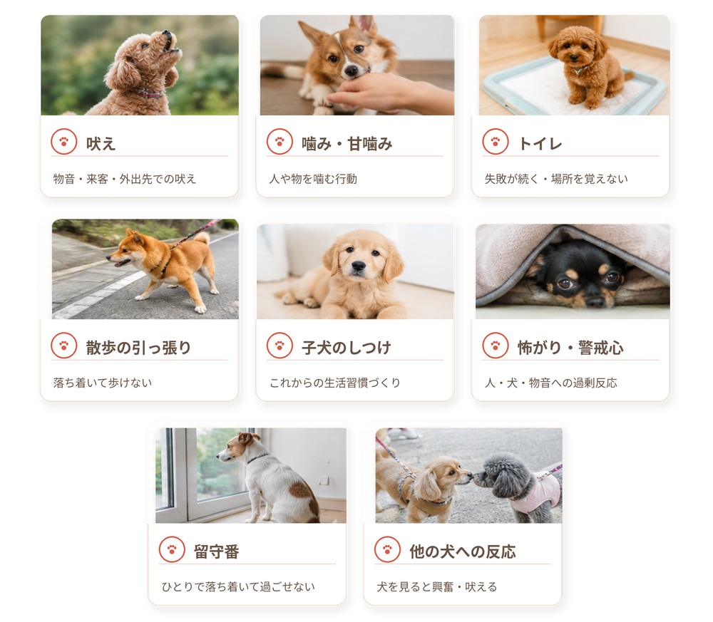 犬の吠え、噛み・甘噛み、トイレ、散歩の引っ張り、子犬のしつけ、怖がり・警戒心、留守番、他の犬への反応について相談できるABOUT DOGSの出張ドッグトレーニング案内