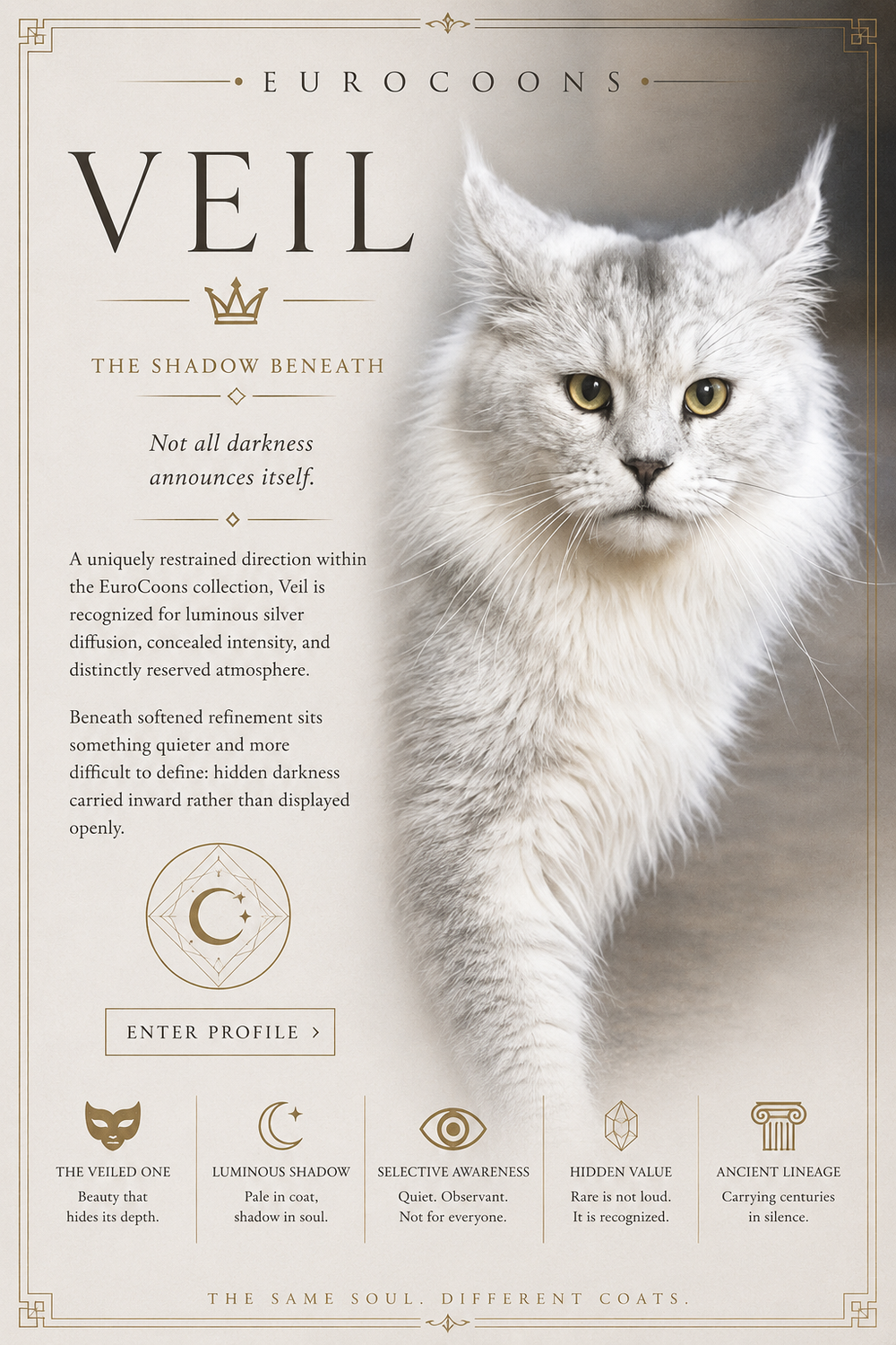 EuroCoons Veil