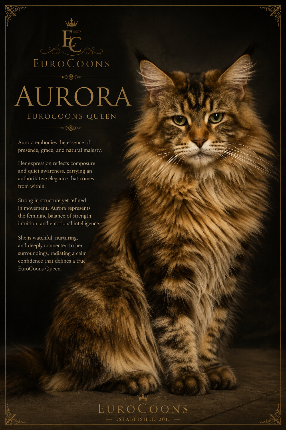 Aurora: Golden torbie Maine Coon female with warm expression, luminous atmosphere, and refined feminine presence.
