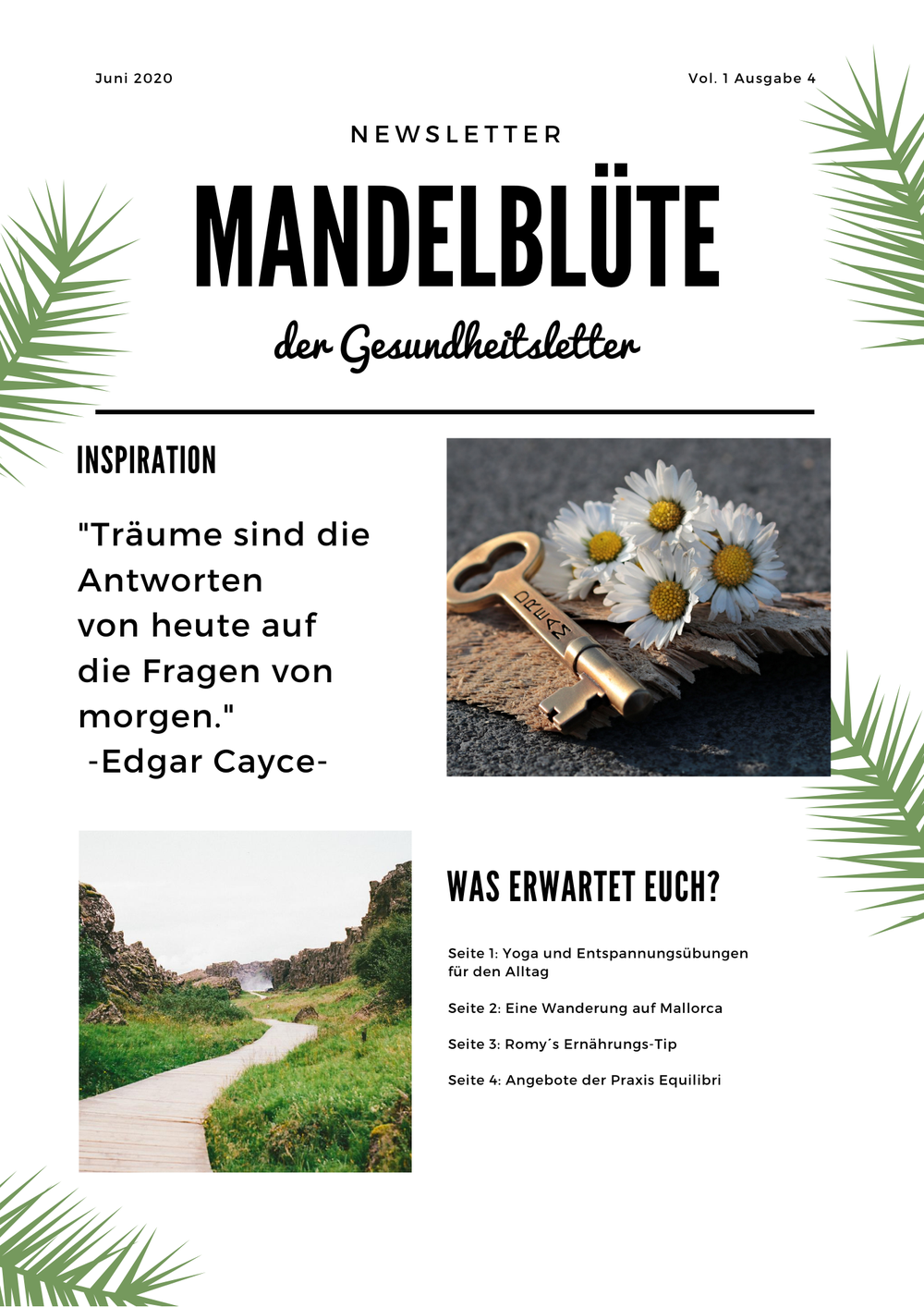 Mandelblüte der Gesundheitsletter